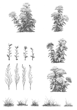 https://alexandredoucin.fr/files/gimgs/th-76_Plantes-Jardin-Zumthor.jpg